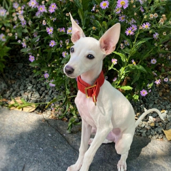 PLEASE SHOP HERE! - Picture 3 of 16